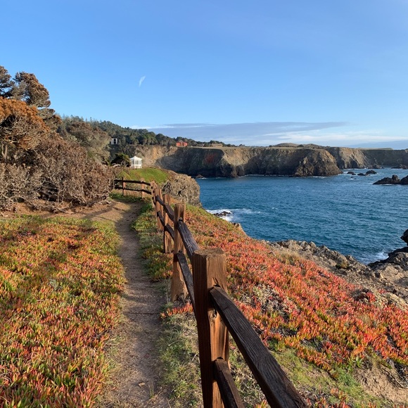 Meet your Posher, Nancy - Picture 4 of 7